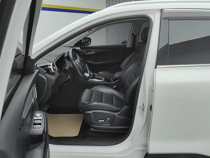 MG Motor Pilot 2021 2021款 300TGI 自动两驱燃动豪华版