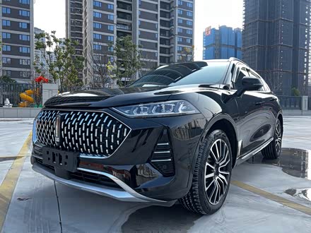 Wey Mocha 2021 2021款 2.0T 两驱特浓版