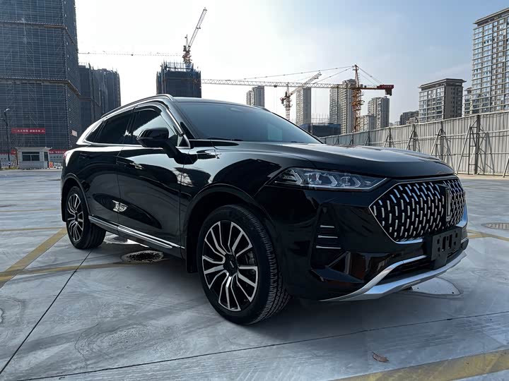 Wey Mocha 2021 2021款 2.0T 两驱特浓版