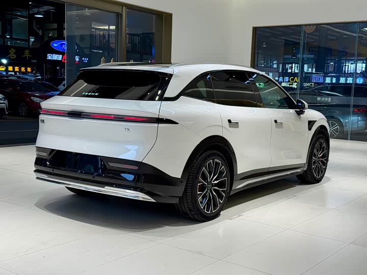 2025 Zeekr 7X