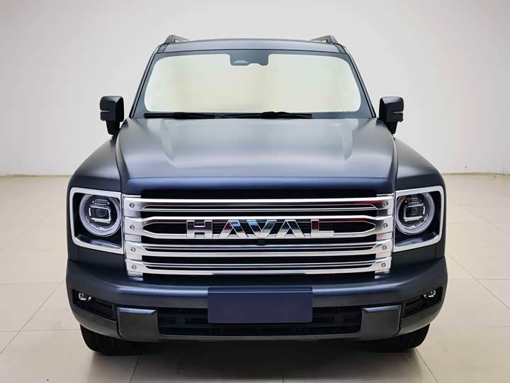Haval H9 2024 2024款 2.0T 汽油四驱极境版