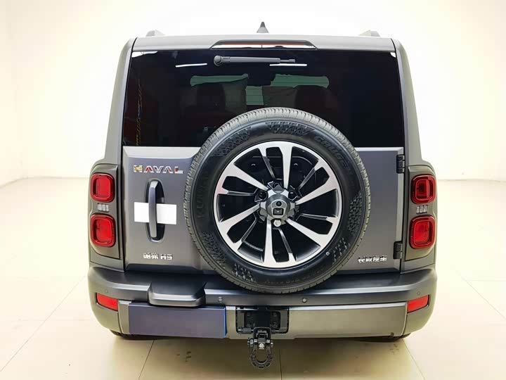 Haval H9 2024 2024款 2.0T 汽油四驱极境版
