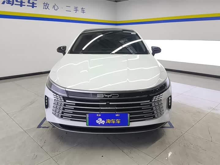 BYD Destroyer 05 2024 2024款 荣耀版 DM-i 55KM 豪华型