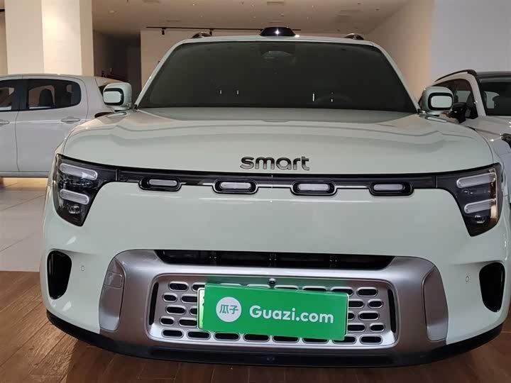 Smart #5 2024 2024款 超长续航奇旅 豪华版