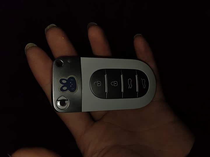 Smart #5 2024 2024款 超长续航奇旅 豪华版