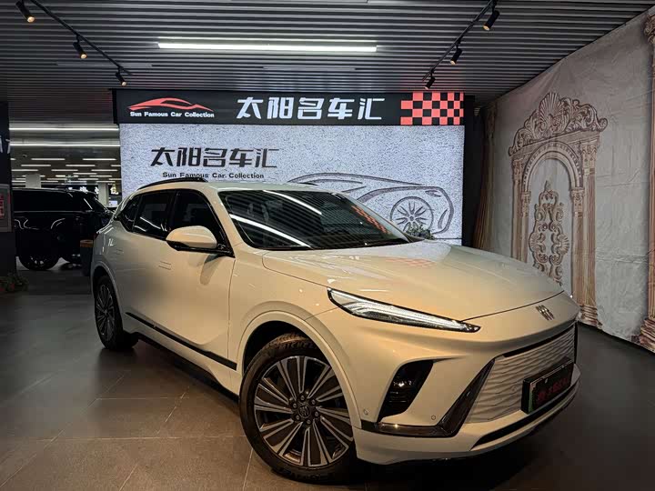 Buick Electra E5 2024 2024款 臻享标续影音版