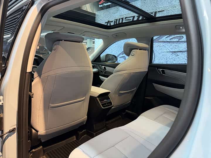 Buick Electra E5 2024 2024款 臻享标续影音版