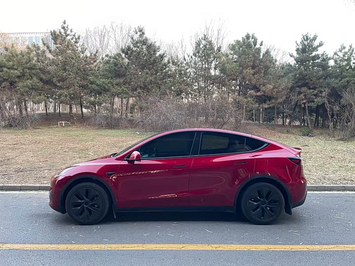 Tesla Model Y 2024 2024款 后轮驱动版