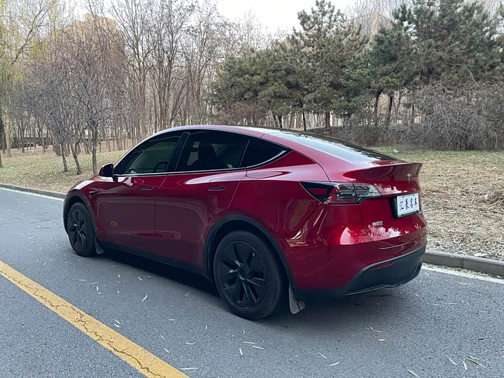 Tesla Model Y 2024 2024款 后轮驱动版