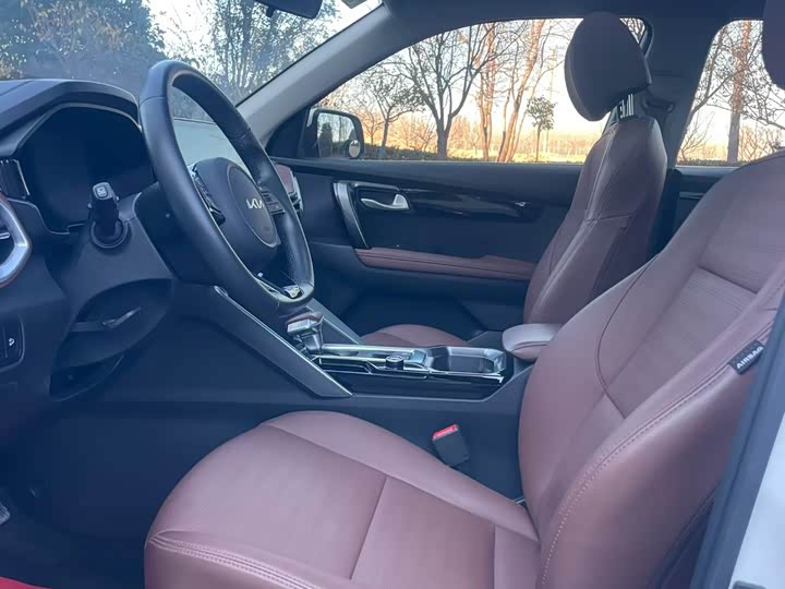 Kia Sportage GT-line 2021 2021款 Ace 2.0L 精彩版