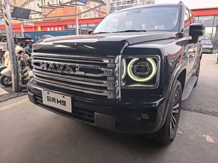 Haval H9 2024 2024款 2.4T 柴油四驱极境版
