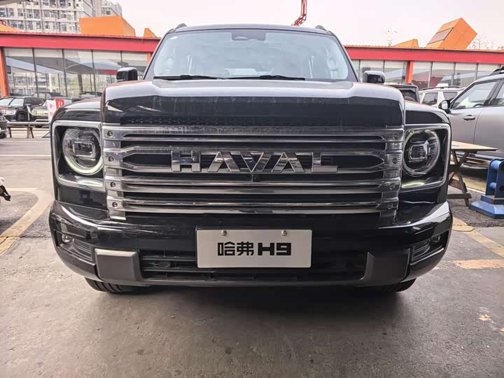 Haval H9 2024 2024款 2.4T 柴油四驱极境版