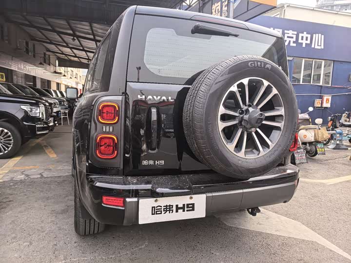Haval H9 2024 2024款 2.4T 柴油四驱极境版