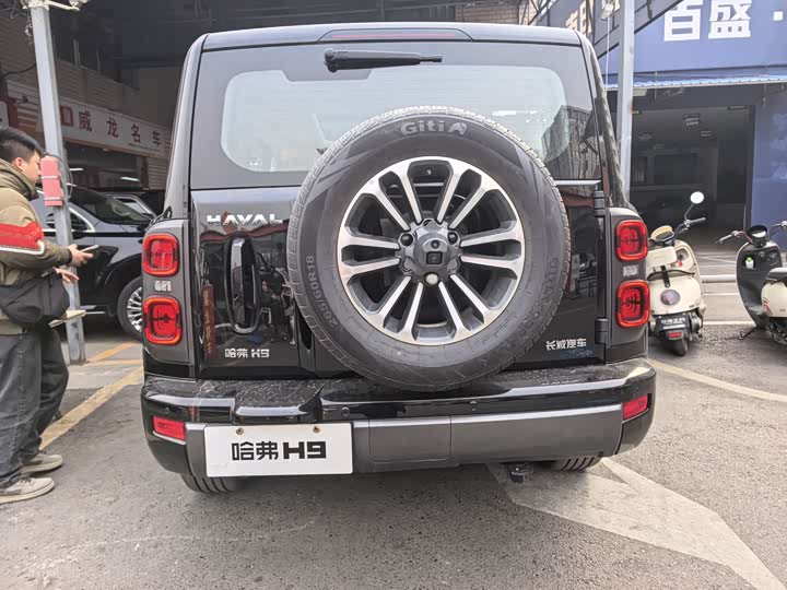 Haval H9 2024 2024款 2.4T 柴油四驱极境版