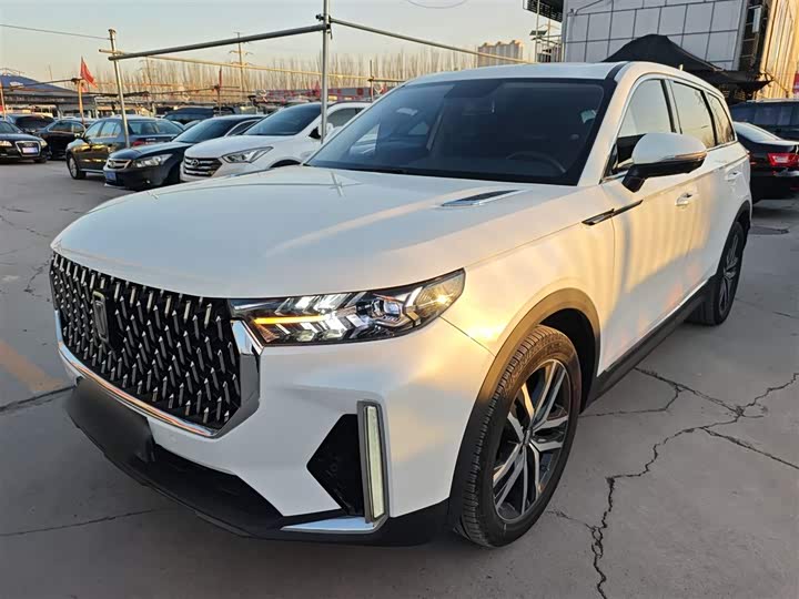 Bestune T99 2020 2020款 20TD 自动尊享型