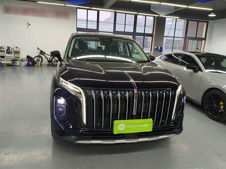 Hongqi HS7 Hybrid 2024 2024款 2.0T PHEV 四驱旗畅版 6座