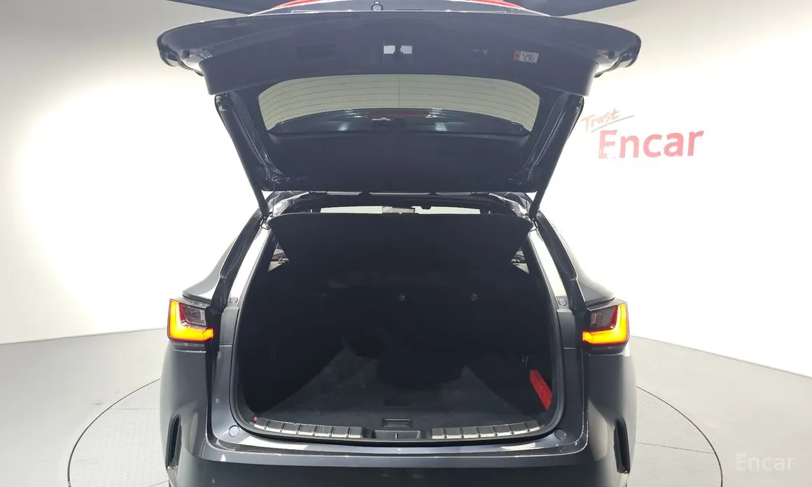 Lexus NX 2022 F-Sport