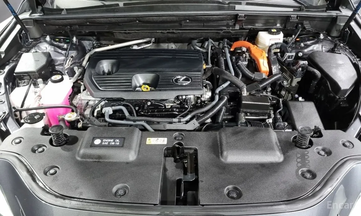 Lexus NX 2022 Premium