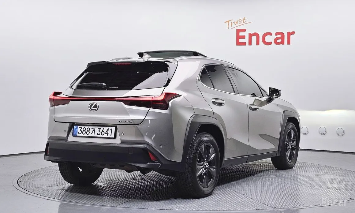 Lexus UX 2024 2.0 2WD