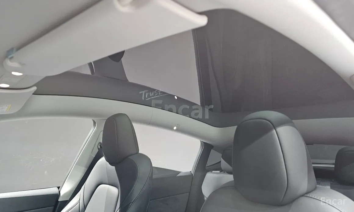 Tesla Model Y 2020 RWD