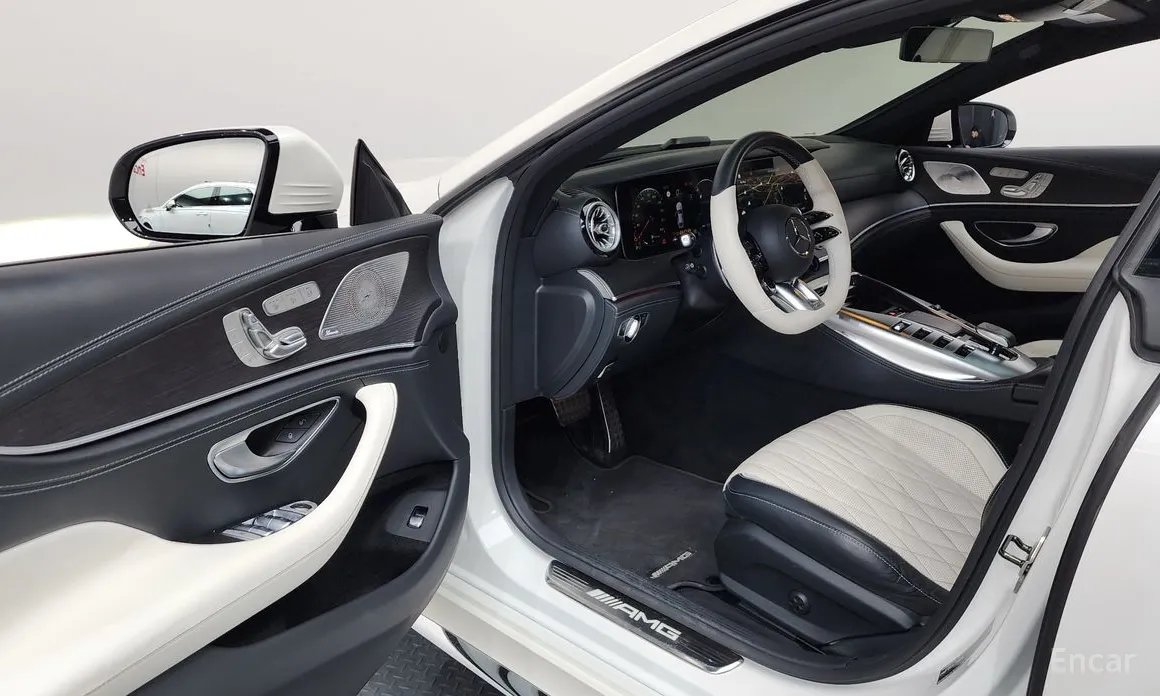 Mercedes-Benz AMG GT 2014 4Door 43 4MATIC+ Special Edition