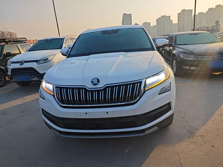 Skoda Kodiaq 2020 2020款 TSI330 5座两驱豪华优享版