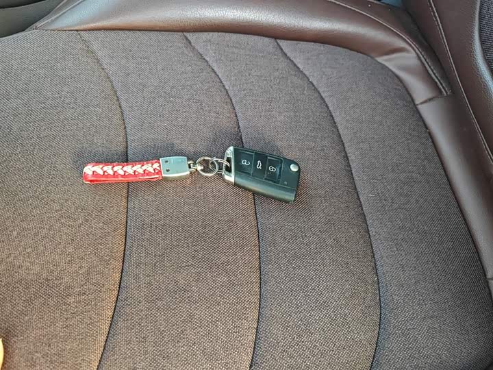 Skoda Kodiaq 2020 2020款 TSI330 5座两驱豪华优享版