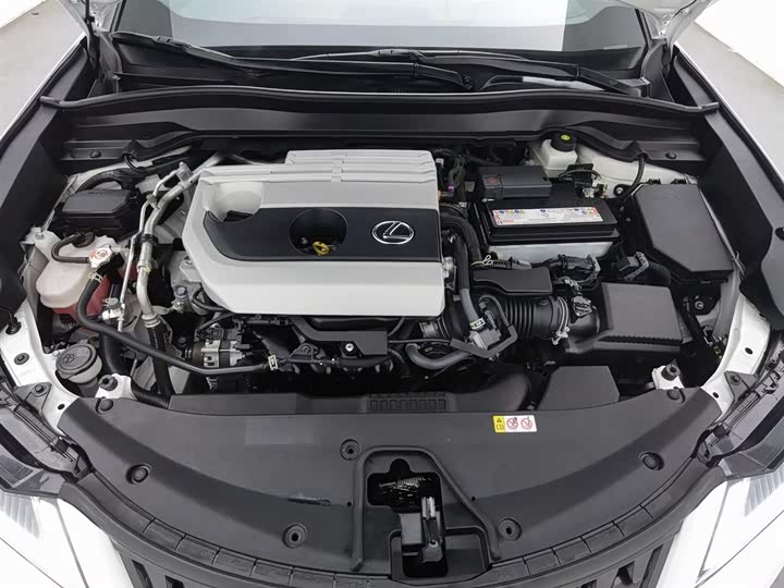 Lexus UX 2020 2020款 200 特别版