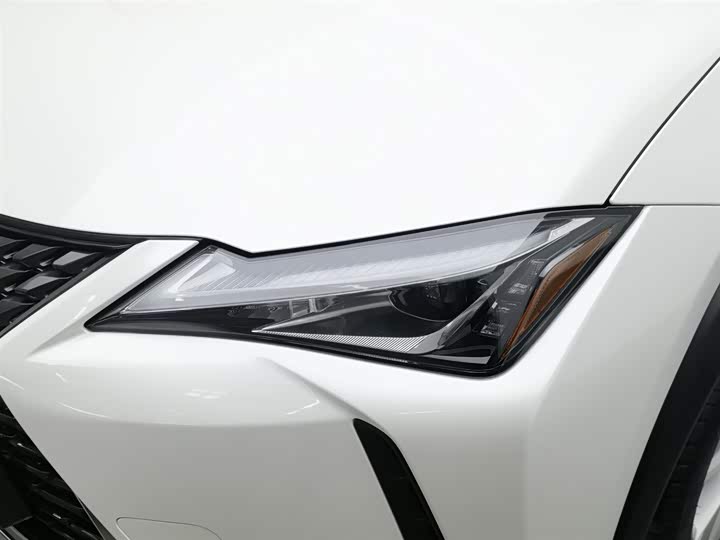 Lexus UX 2020 2020款 200 特别版