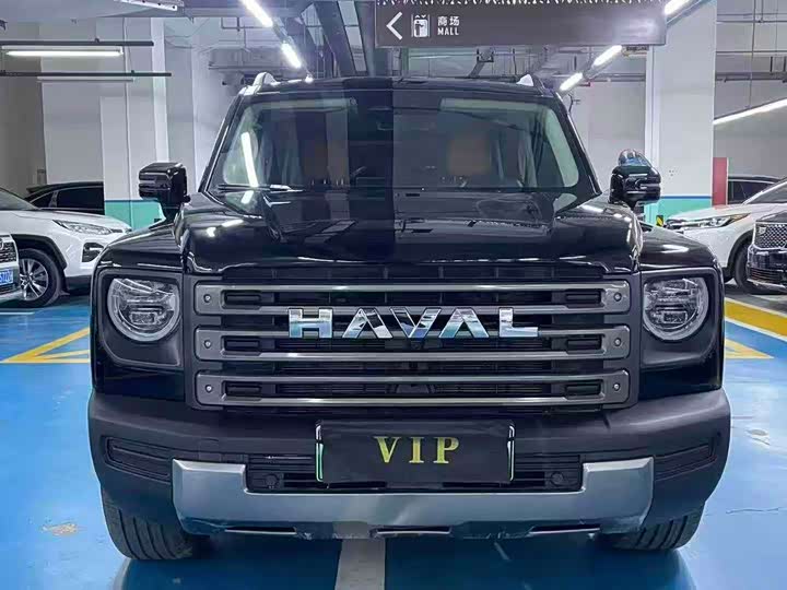 Haval Raptor Hybrid 2024 2024款 Hi4 102 Pro