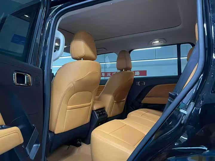 Haval Raptor Hybrid 2024 2024款 Hi4 102 Pro