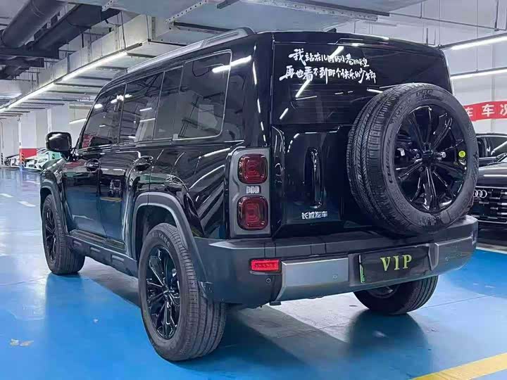 Haval Raptor Hybrid 2024 2024款 Hi4 102 Pro