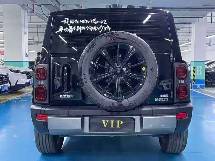 Haval Raptor Hybrid 2024 2024款 Hi4 102 Pro