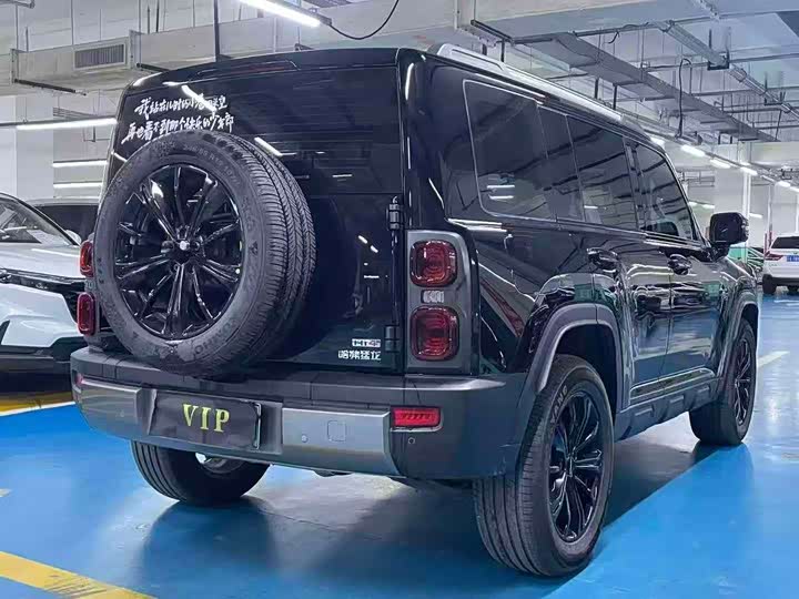 Haval Raptor Hybrid 2024 2024款 Hi4 102 Pro