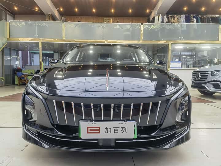 Hongqi E-QM5 2024 2024款 500km 出行版