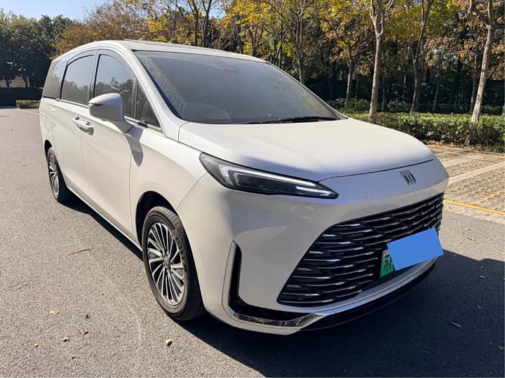 Buick GL8 Hybrid 2025 2025款 陆尚 尊享版 7座