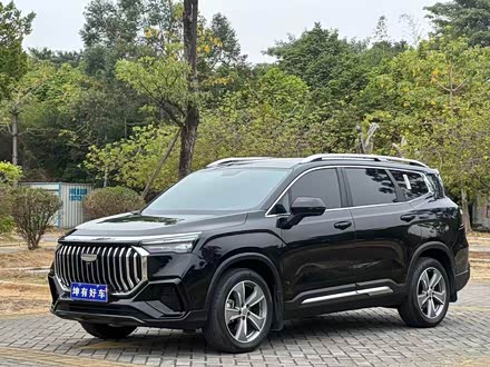 Geely Okavango L 2024 2024款 2.0T DCT尊贵型