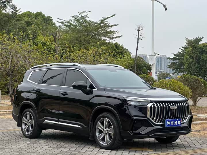 Geely Okavango L 2024 2024款 2.0T DCT尊贵型