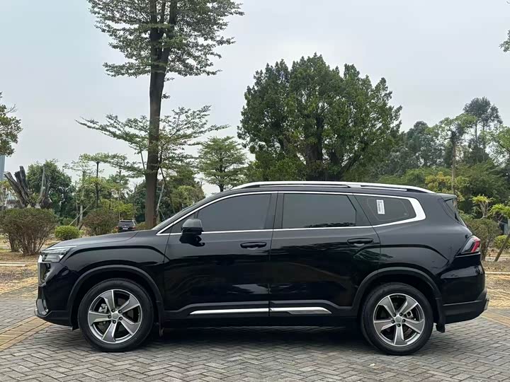 Geely Okavango L 2024 2024款 2.0T DCT尊贵型