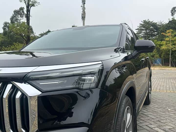 Geely Okavango L 2024 2024款 2.0T DCT尊贵型