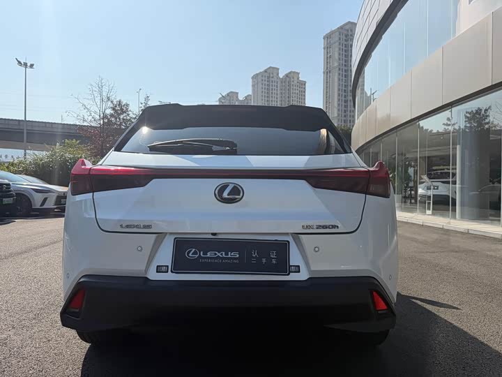 Lexus UX 2020 2020款 260h 探·趣版