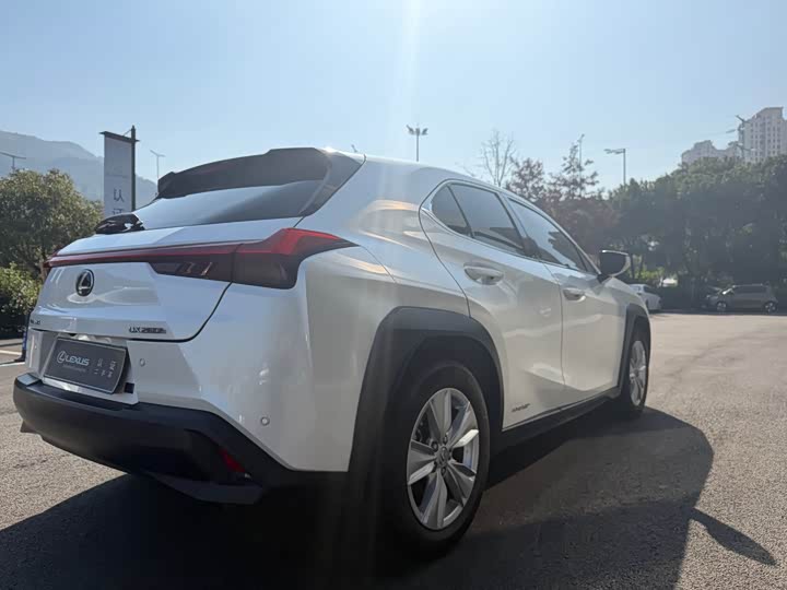 Lexus UX 2020 2020款 260h 探·趣版
