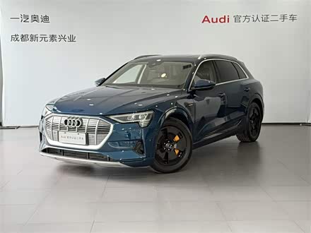 Audi e-tron 2019 2019款 55 quattro 时尚型