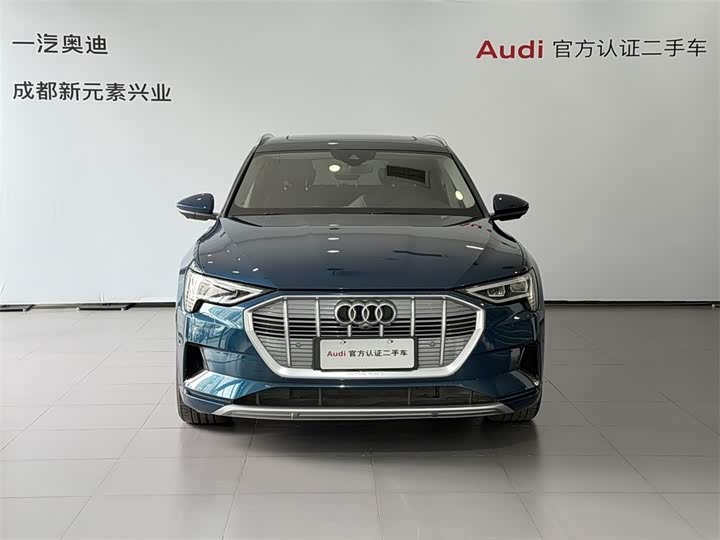 Audi e-tron 2019 2019款 55 quattro 时尚型