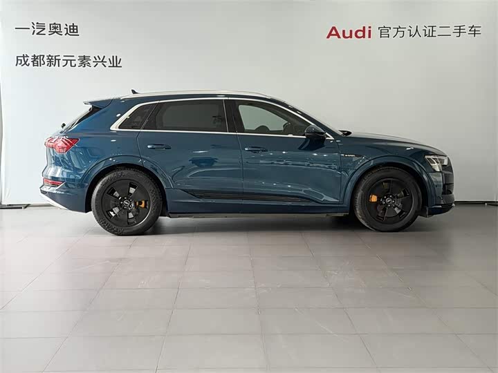Audi e-tron 2019 2019款 55 quattro 时尚型