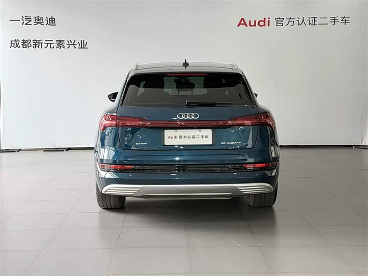 Audi e-tron 2019 2019款 55 quattro 时尚型