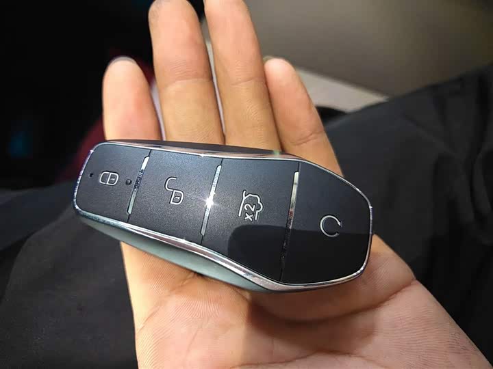 BYD Yuan Plus 2025 2025款 智驾版 510KM 卓越型