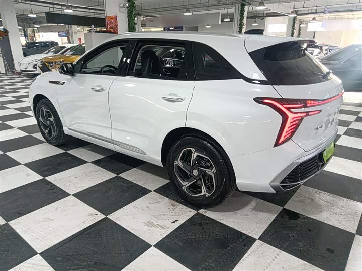 Hongqi HS3 2024 2024款 1.5T 善为版