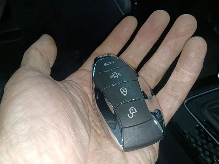 Hongqi HS3 2024 2024款 1.5T 善为版