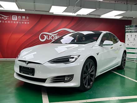 Tesla Model S 2019 2019款 Performance 高性能版